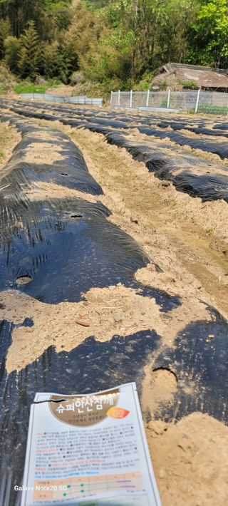 민우님의 자유주제 · 자유게시판 작성글 사진