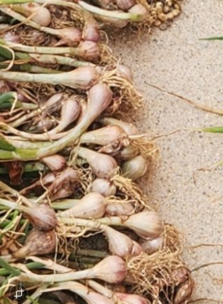 갑돌이님의 자유주제 · 자유게시판 작성글 사진