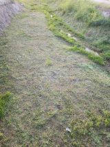 팜모닝 자유주제·자유게시판 게시글 이미지