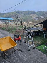 팜모닝 · 게시글 이미지