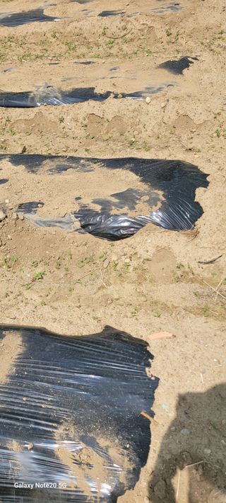 민우님의 자유주제 · 자유게시판 작성글 사진