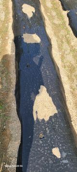 팜모닝 자유주제·자유게시판 게시글 이미지