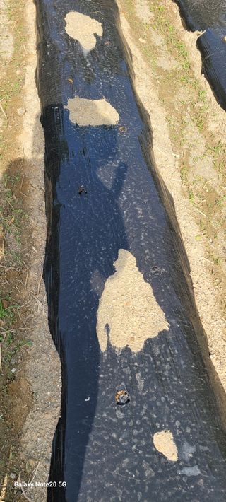 민우님의 자유주제 · 자유게시판 작성글 사진