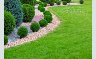 이선미님의 작성글 사진