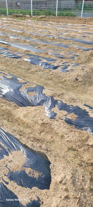 민우님의 자유주제 · 자유게시판 작성글 사진