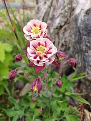 남궁봉님의 자유주제 · 자유게시판 작성글 사진