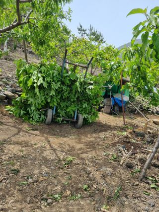 김용대님의 자유주제 · 자유게시판 작성글 사진
