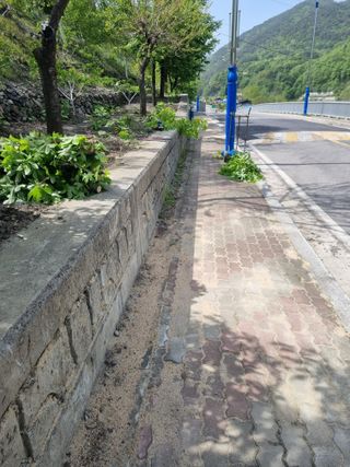 김용대님의 자유주제 · 자유게시판 작성글 사진