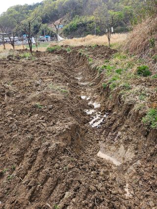 지식농부님의 작성글 사진