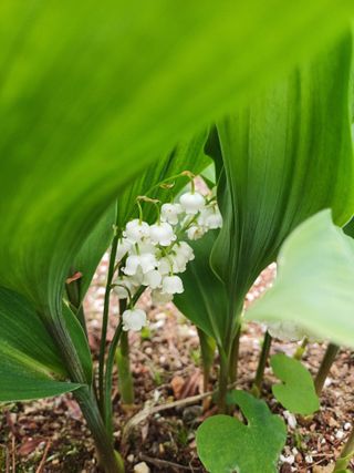 남궁봉님의 자유주제 · 자유게시판 작성글 사진