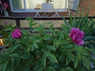 남궁봉님의 자유주제 · 자유게시판 작성글 사진