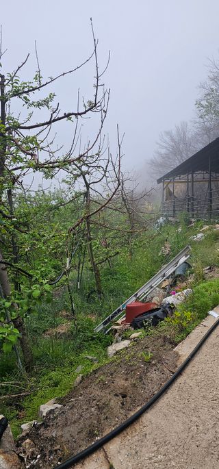 콩15380님의 농사, 무엇이든 물어보세요! · 참여글 작성글 사진