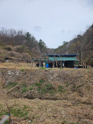 지식농부님의 작성글 사진