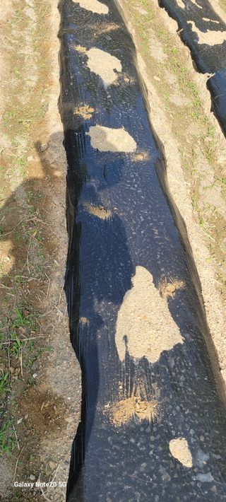 민우님의 자유주제 · 자유게시판 작성글 사진