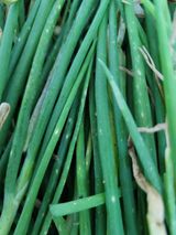 팜모닝 자유주제·자유게시판 게시글 이미지