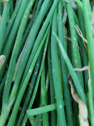 이연종님의 자유주제 · 자유게시판 작성글 사진