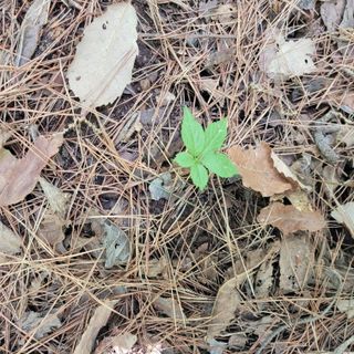 김선순(공룡자색마)님의 자유주제 · 자유게시판 작성글 사진