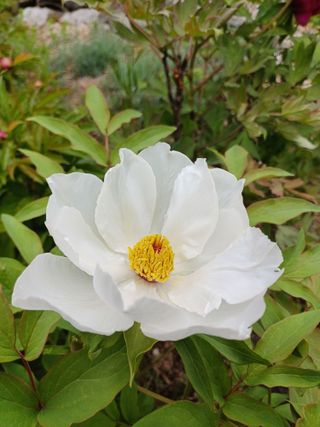 남궁봉님의 자유주제 · 자유게시판 작성글 사진