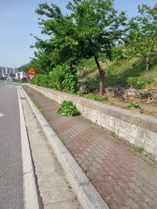 김용대님의 자유주제 · 자유게시판 작성글 사진