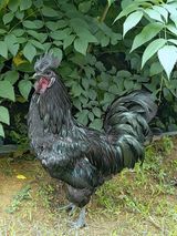 팜모닝 자유주제·자유게시판 게시글 이미지