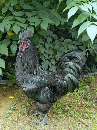 김영복님의 자유주제 · 자유게시판 작성글 사진