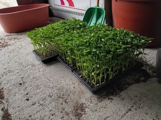 알 수 없음님의 자유주제 · 자유게시판 작성글 사진