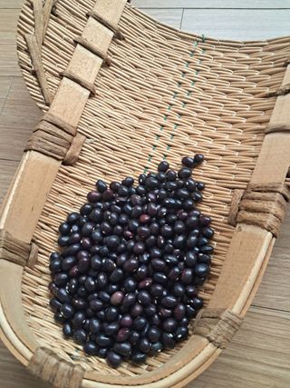 장민경님의 자유주제 · 자유게시판 작성글 사진