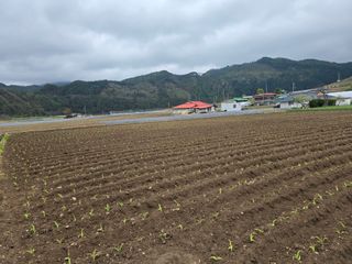 장관덕님의 자유주제 · 자유게시판 작성글 사진