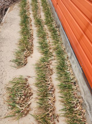 갑돌이님의 자유주제 · 자유게시판 작성글 사진