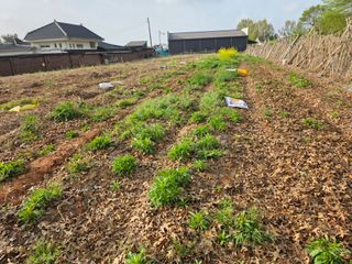 화니네농장님의 농사, 무엇이든 물어보세요! · 참여글 작성글 사진