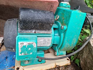 황인근님의 농사, 무엇이든 물어보세요! · 참여글 작성글 사진