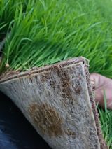 팜모닝 농사, 무엇이든 물어보세요!·참여글 게시글 이미지