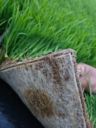 연화골 연님의 농사, 무엇이든 물어보세요! · 참여글 작성글 사진