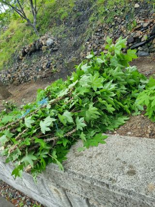김용대님의 자유주제 · 자유게시판 작성글 사진