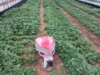 농민님의 자유주제 · 자유게시판 작성글 사진