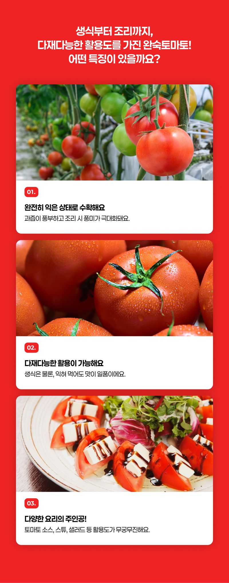 팜모닝 상점님의 장터 판매 상품 [🍅 못난이 완숙토마토(100~400g) 사이즈 혼합(랜덤) 3/5/10kg 🍅] 첨부 사진