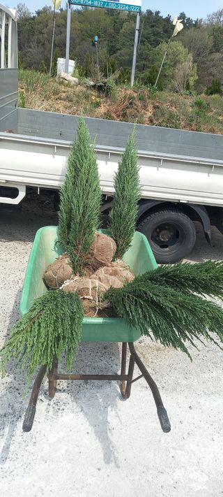 김대현(청솔)님의 자유주제 · 자유게시판 작성글 사진