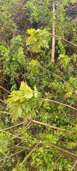 김대현(청솔)님의 자유주제 · 자유게시판 작성글 사진