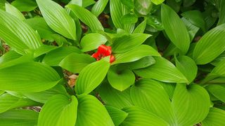 떫은감 마니아님의 자유주제 · 자유게시판 작성글 사진