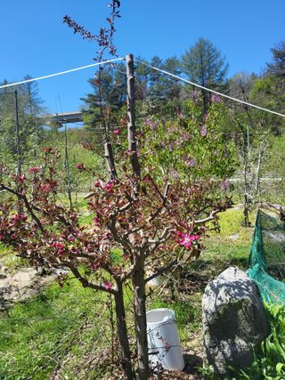 최용환 님의 농사, 무엇이든 물어보세요! · 참여글 작성글 사진