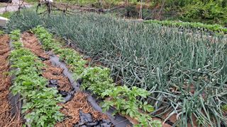 MSG0074님의 자유주제 · 자유게시판 작성글 사진