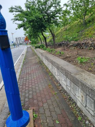 김용대님의 자유주제 · 자유게시판 작성글 사진