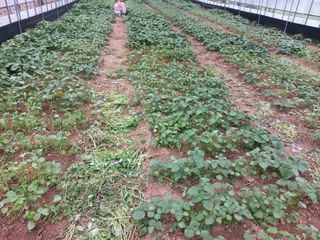 농민님의 자유주제 · 자유게시판 작성글 사진