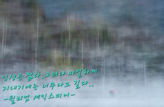 젠틀맨님의 자유주제 · 자유게시판 작성글 사진