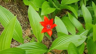 떫은감 마니아님의 자유주제 · 자유게시판 작성글 사진