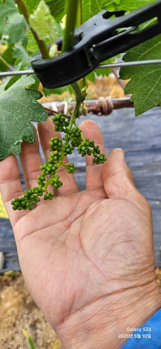 김상욱님의 자유주제 · 자유게시판 작성글 사진