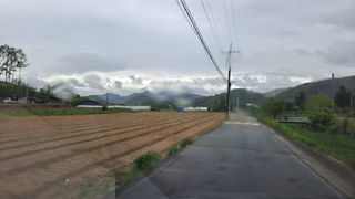 MSG0074님의 자유주제 · 자유게시판 작성글 사진