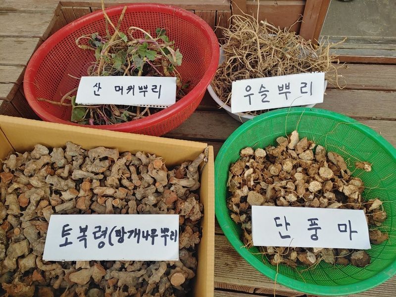 이현상홍길동건강즙님의 장터 판매 상품 [닭발우슬즙 100포  ] 첨부 사진