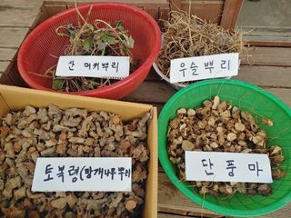 이현상홍길동건강즙님의 작성글 사진