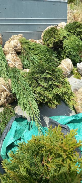 김대현(청솔)님의 자유주제 · 자유게시판 작성글 사진